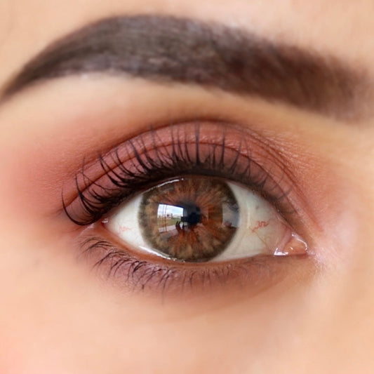 LENS AURA HONEY